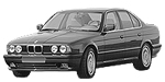 BMW E34 B1E45 Fault Code